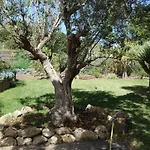 Casa vacanze Canitas - Teneriffa El Tanque