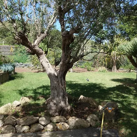 Casa de Férias Canitas - Teneriffa El Tanque