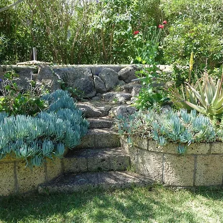 Canitas - Teneriffa בית נופש El Tanque