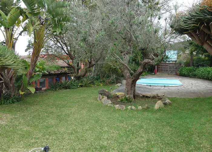 Canitas - Teneriffa El Tanque