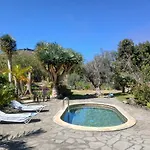 Canitas - Teneriffa El Tanque