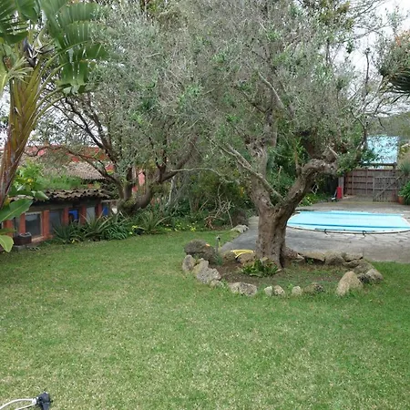 Canitas - Teneriffa El Tanque