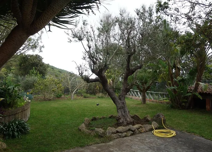 Canitas - Teneriffa Hébergement de vacances *