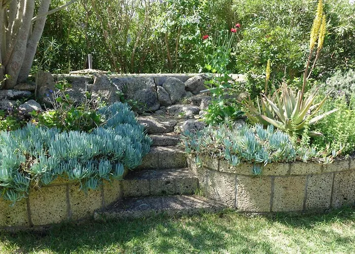 Canitas - Teneriffa Hébergement de vacances El Tanque