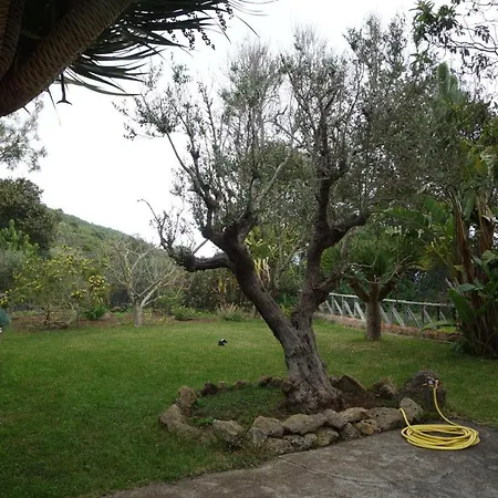 Canitas - Teneriffa Casa de Férias *